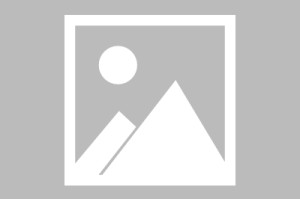 kaiyun-一场迟到的盛宴，当全明星赛在夏末点燃，我在8月16日，等你上场，8月16日，等你上场夏末全明星赛